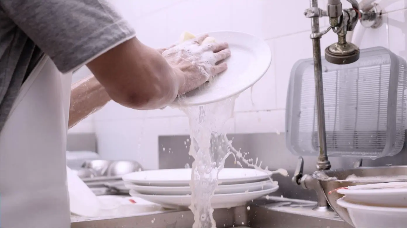 Λιποσυλλέκτες